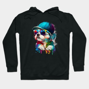 Colourful cool Malteser Terrier dog with sunglasses and Cap Hoodie